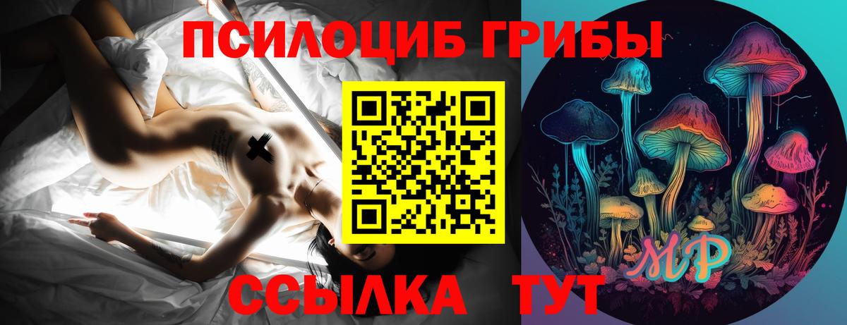 Псилоцибиновые грибы Psilocybine cubensis Муром