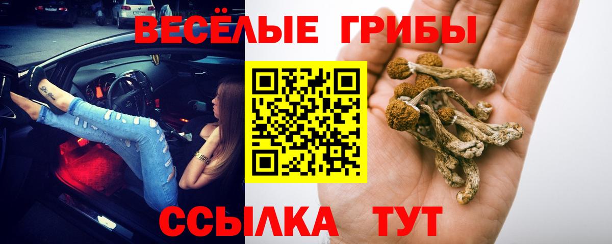 Галлюциногенные грибы прущие грибы  Вход с VPN  Муром  Псилоцибиновые грибы мухоморы 